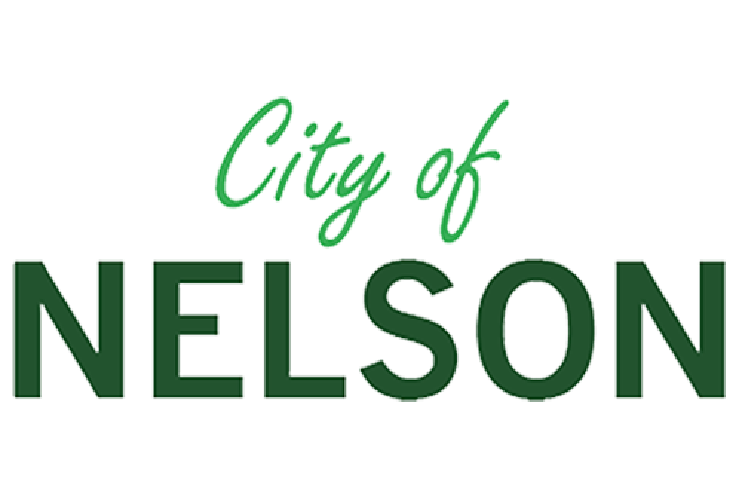 The City of Nelson